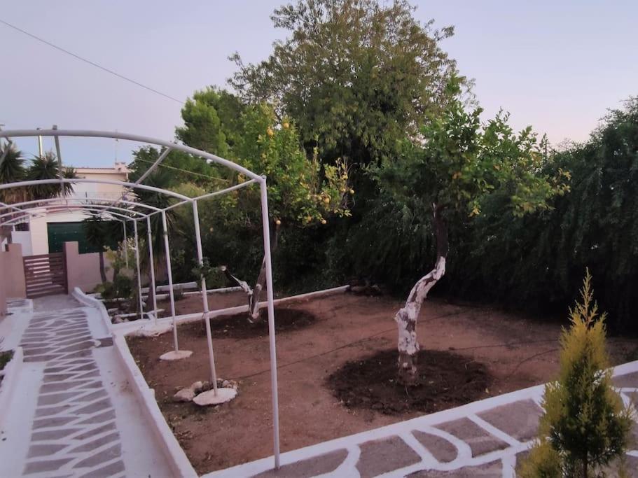 Penthouse Studio Next To The Sea Salamis Luaran gambar